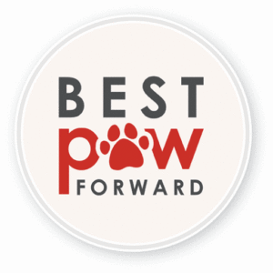 Best Paw Forward