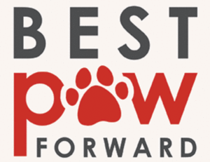Best Paw Forward Bathurst logo